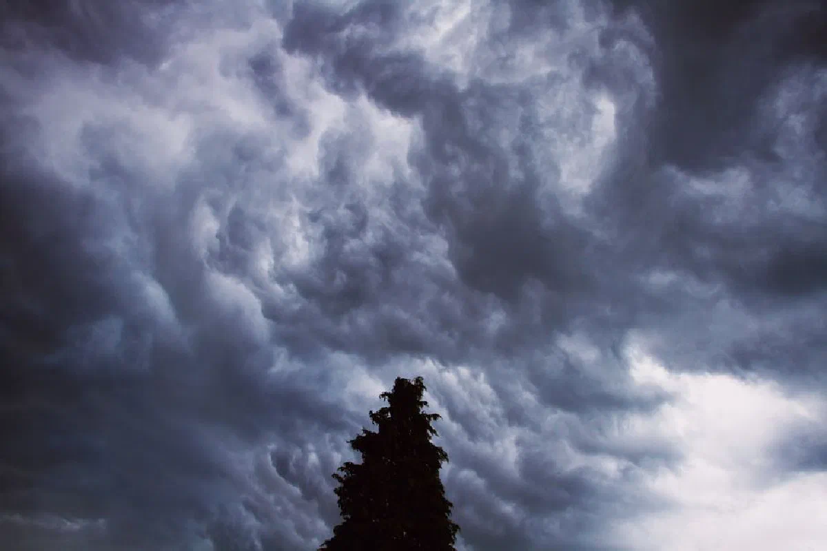 A striking image of dark storm clouds swirling above a lone tree, capturing the power of nature.