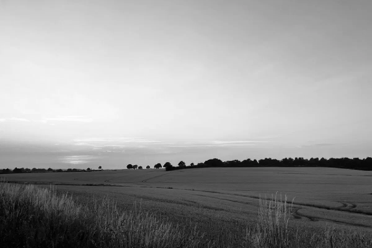 Monochrome view of a countryside field under an expansive sky, perfect for nature-themed projects.