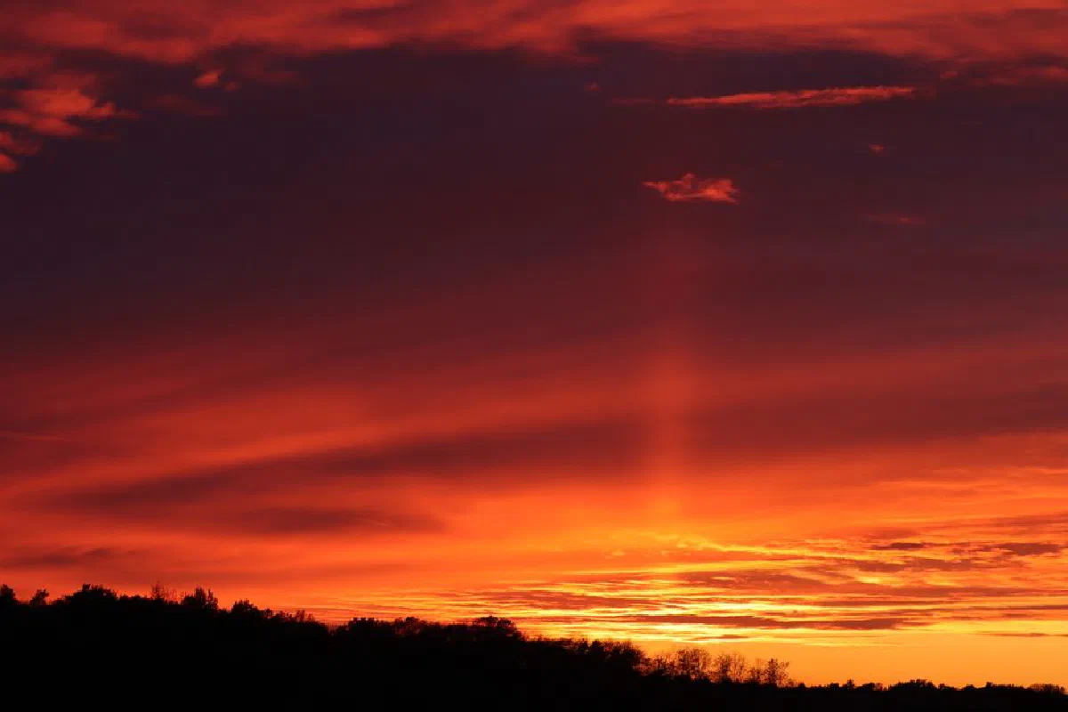 Captivating sunset with vibrant orange and red hues over a silhouetted treeline.