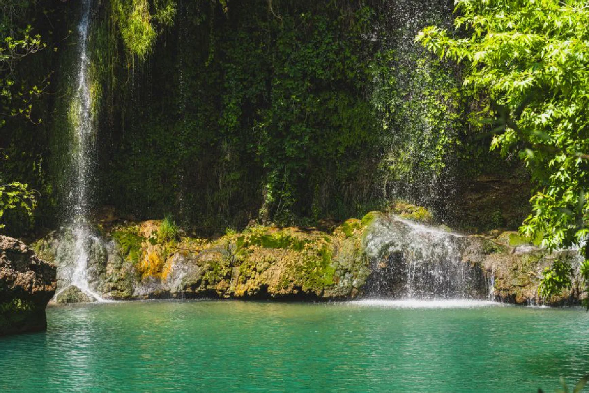 A tranquil waterfall cascading into a clear pool surrounded by lush green vegetation.
