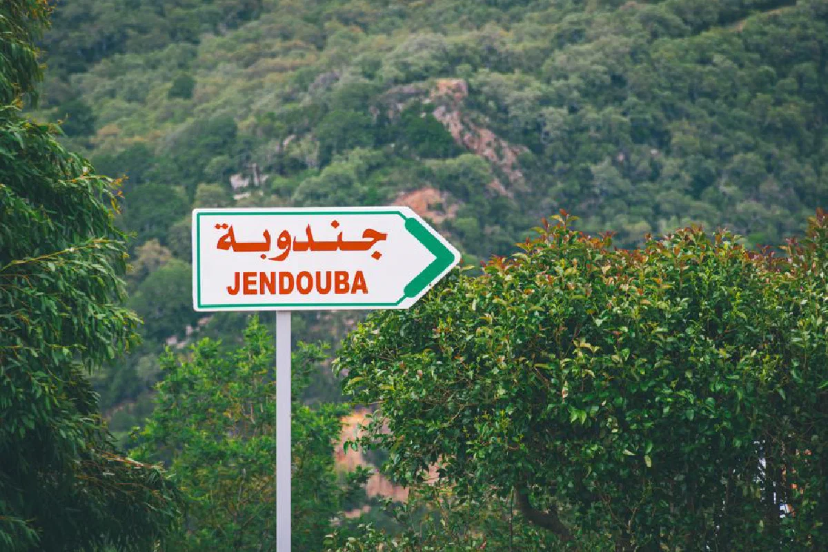 A road sign pointing toward Jendouba set against a lush green mountainous landscape in Tunisia.