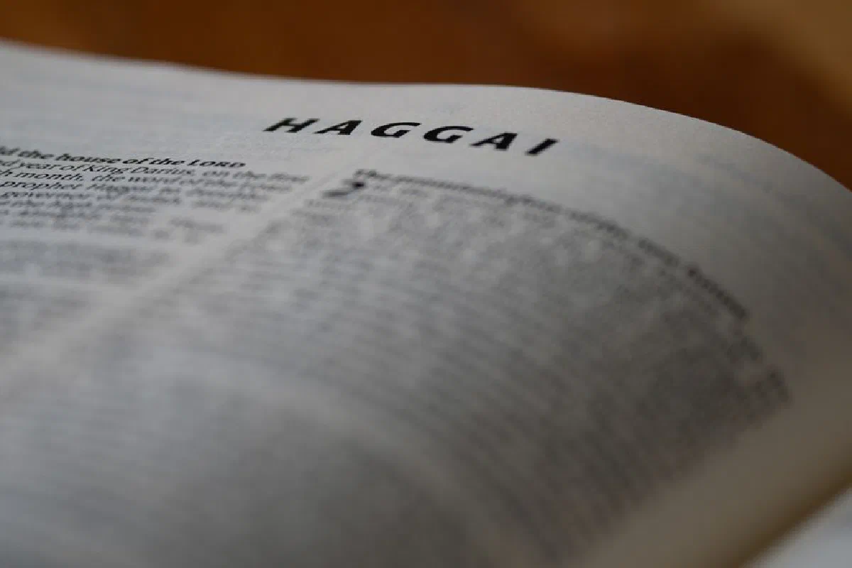 Detailed close-up of the Book of Haggai text in the Bible with selective focus.