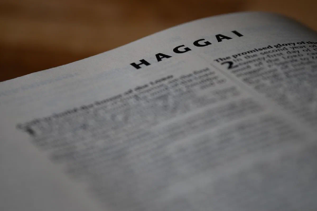 A close-up view of the Book of Haggai text in a Bible, showcasing detail and typography.