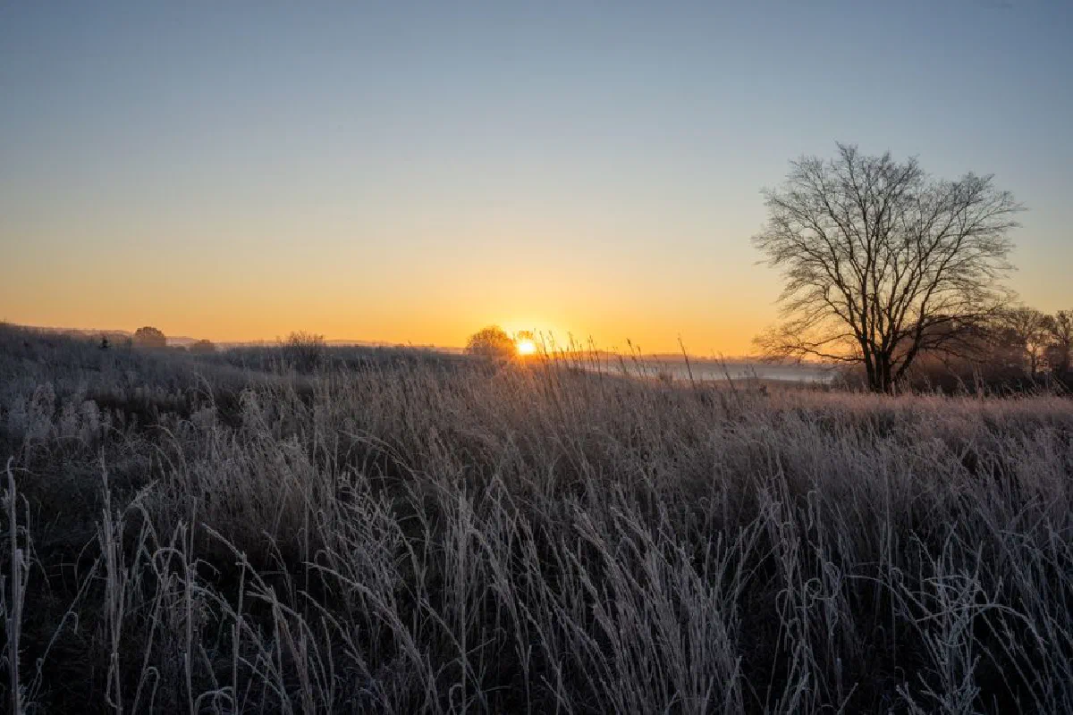 Capture of frosty fields at sunrise in rural West Newton, MN, USA.