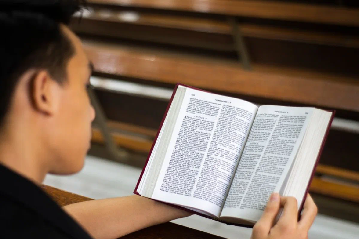 What is theodicy?