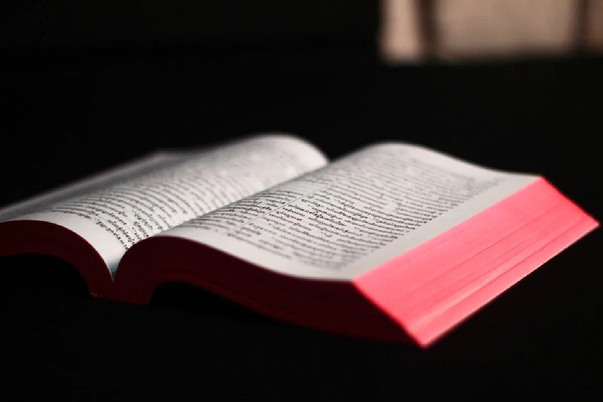 Focused view of an open book with vibrant red edges on a dark background, enhancing readability.