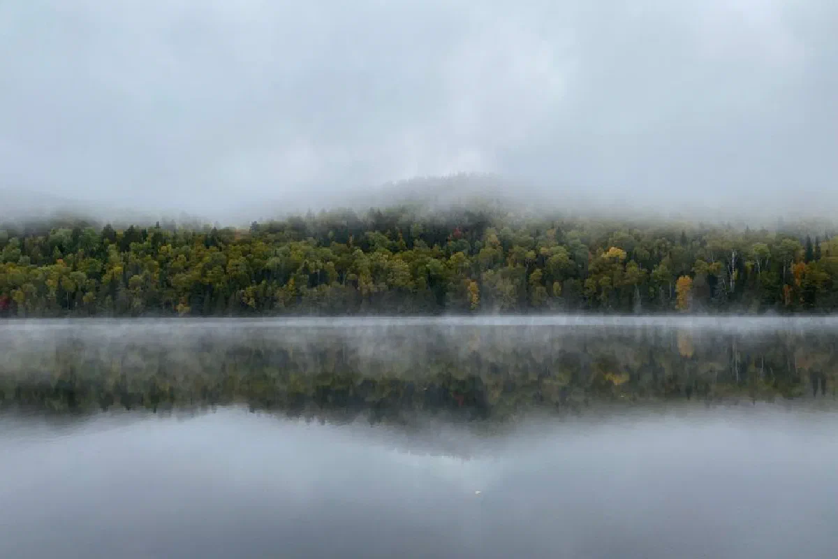 A serene view of a forest reflecting on a misty lake in La Tuque, Quebec.