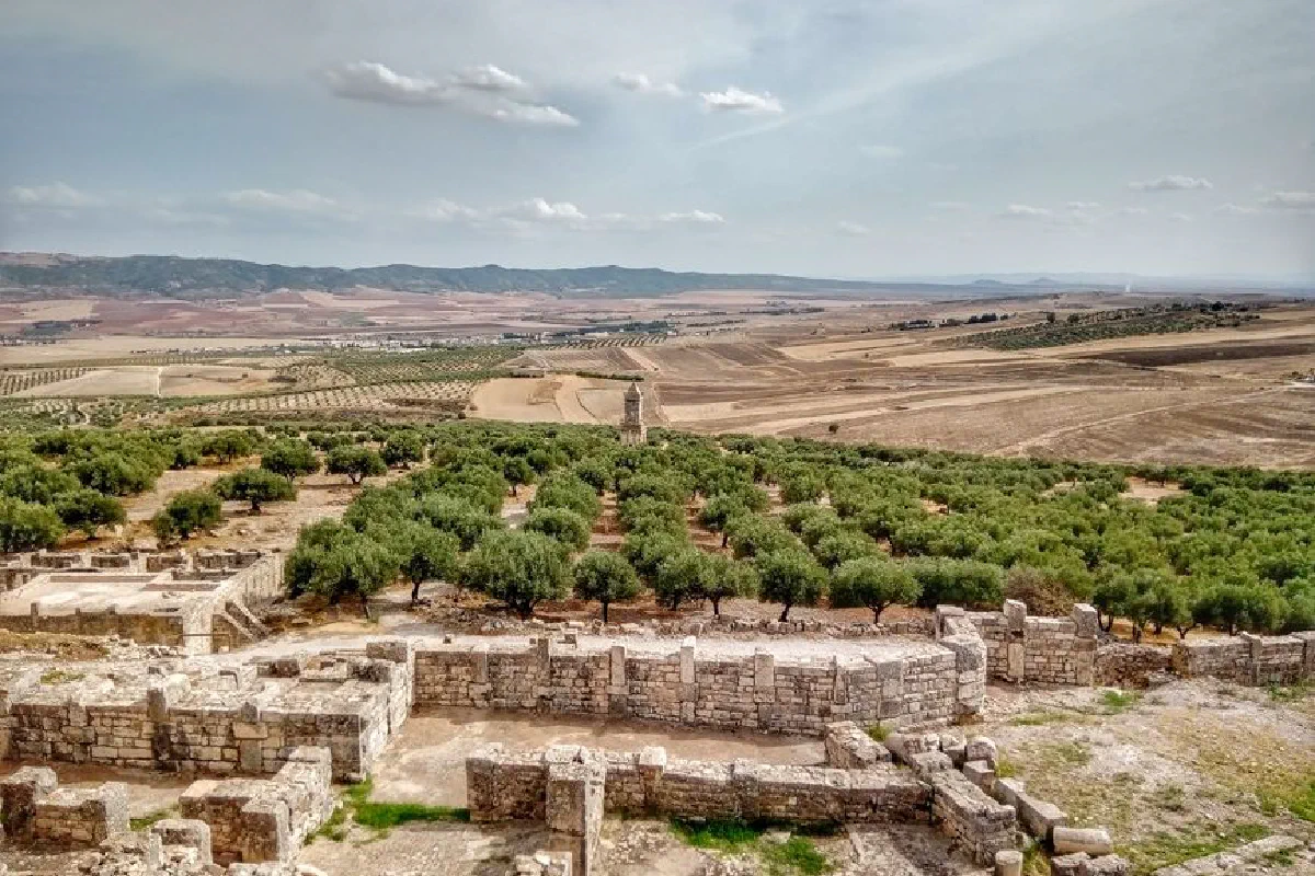 Stunning view of ancient stone ruins with olive groves in Béja, Tunisia.