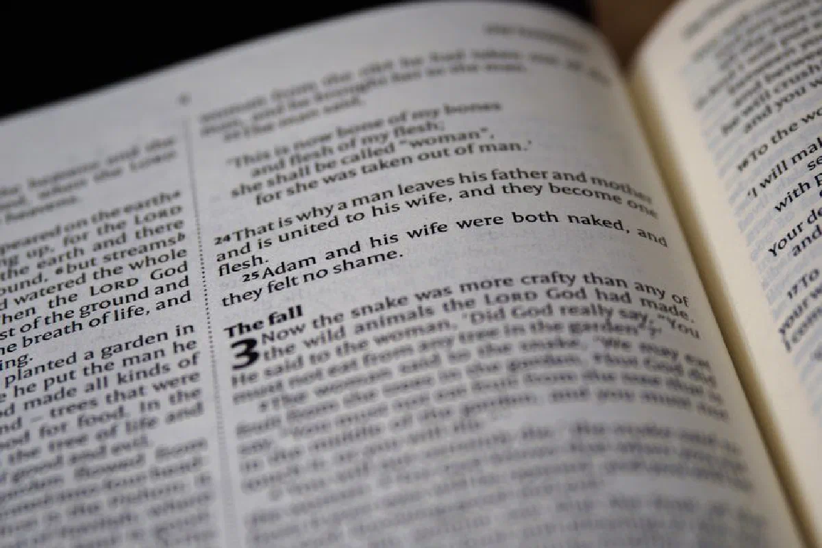 Macro shot of an open Bible displaying the Book of Genesis with focused text and blurred background.