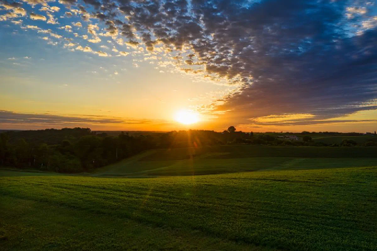 Breathtaking sunrise over the lush green fields in Alma, Wisconsin.
