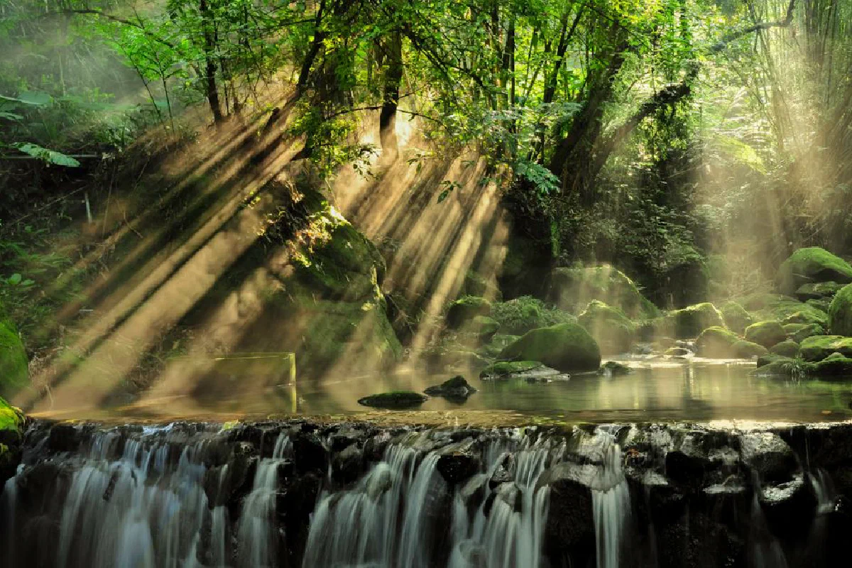 Tranquil waterfall in a lush forest with sunbeams streaming through the trees, creating a peaceful scene.