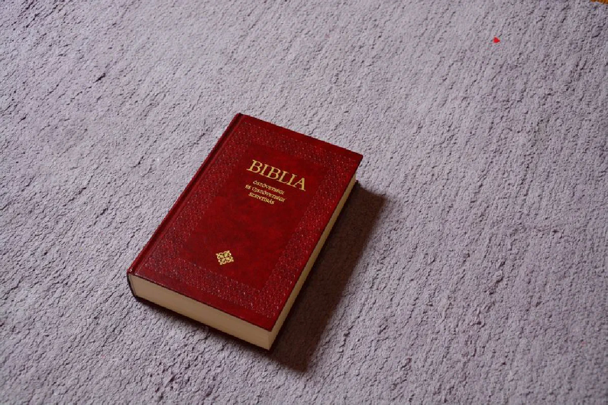 Red Bible placed on a textured carpet surface, well-lit and detailed.
