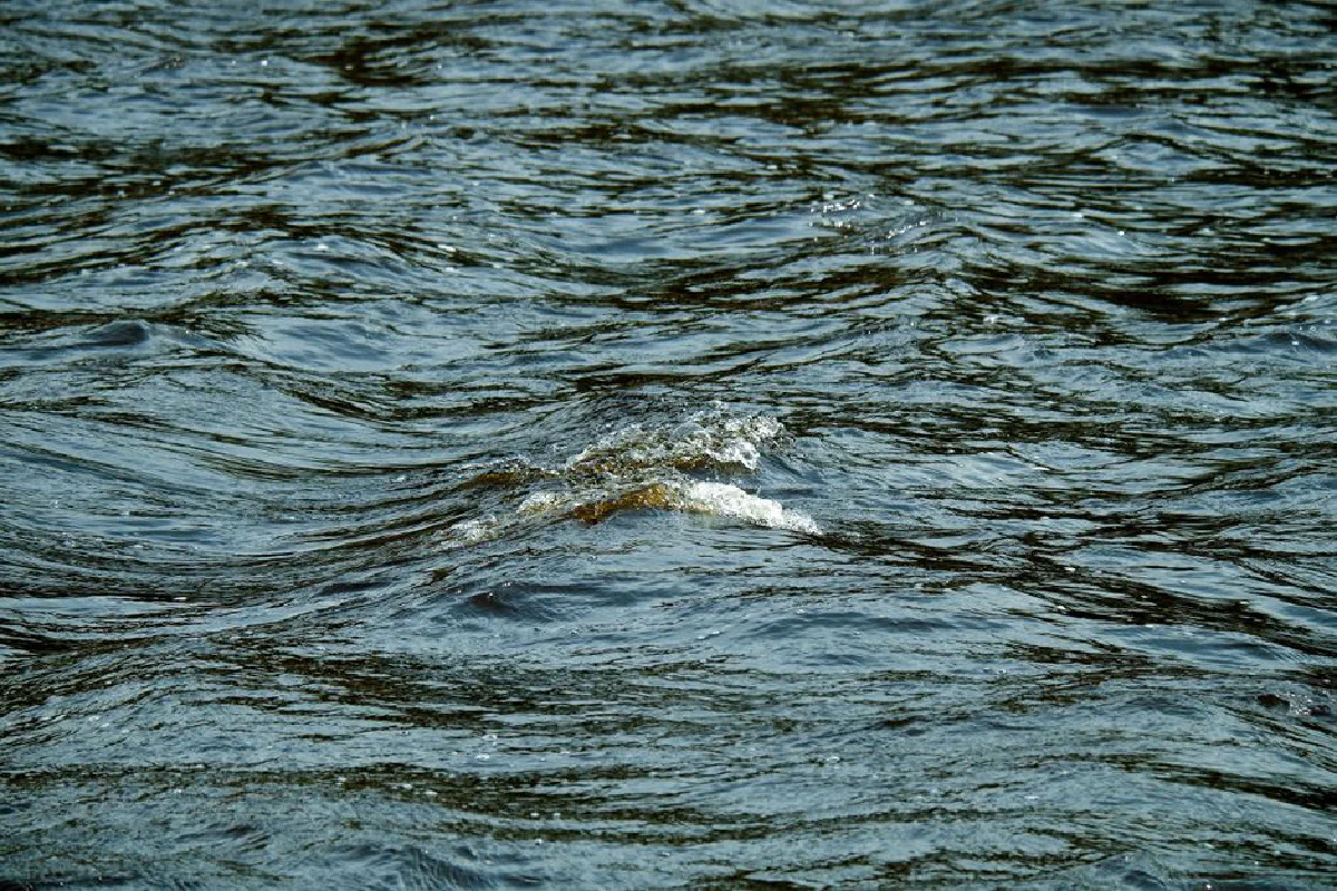 Close-up of tranquil water ripples creating a serene and soothing vibe.