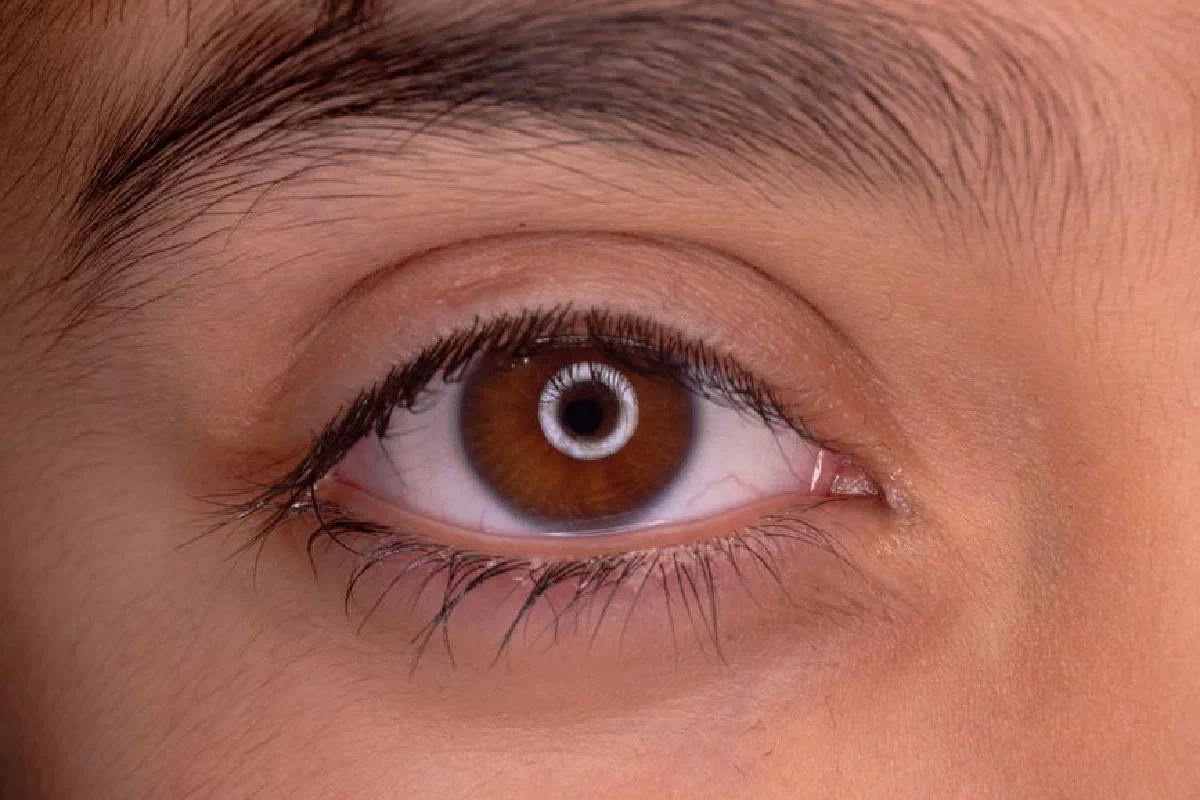 Detailed close-up image of a human eye with brown iris and natural eyebrow.