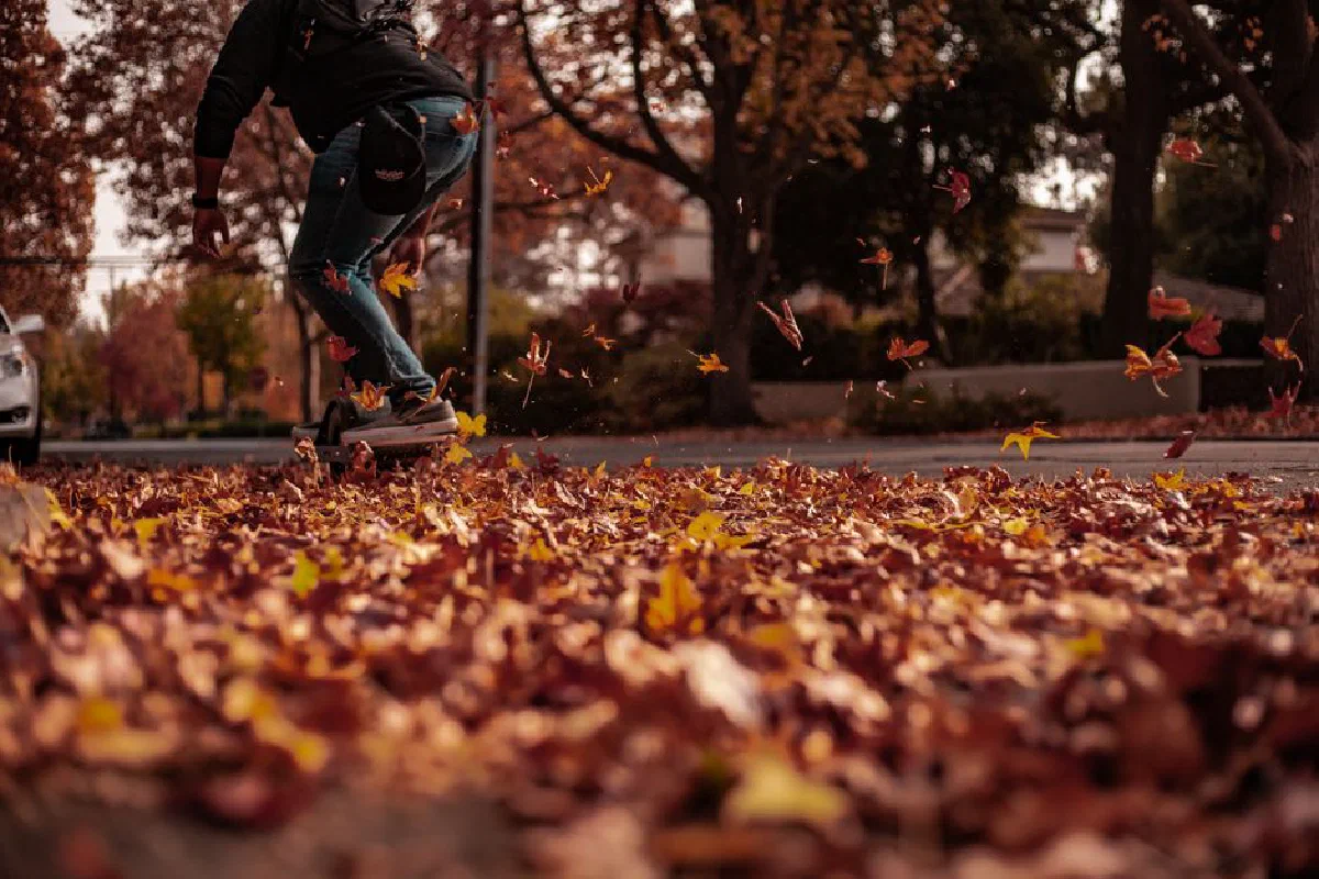 Dynamic capture of a skateboarder amid vibrant autumn leaves on a street.