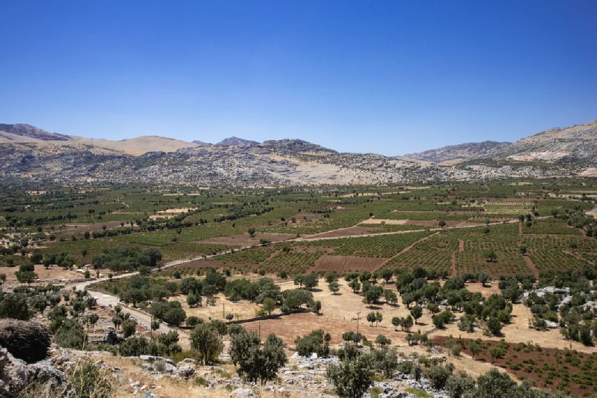 Expansive view of lush agricultural fields and mountains in Çermik, Diyarbakır, Türkiye.