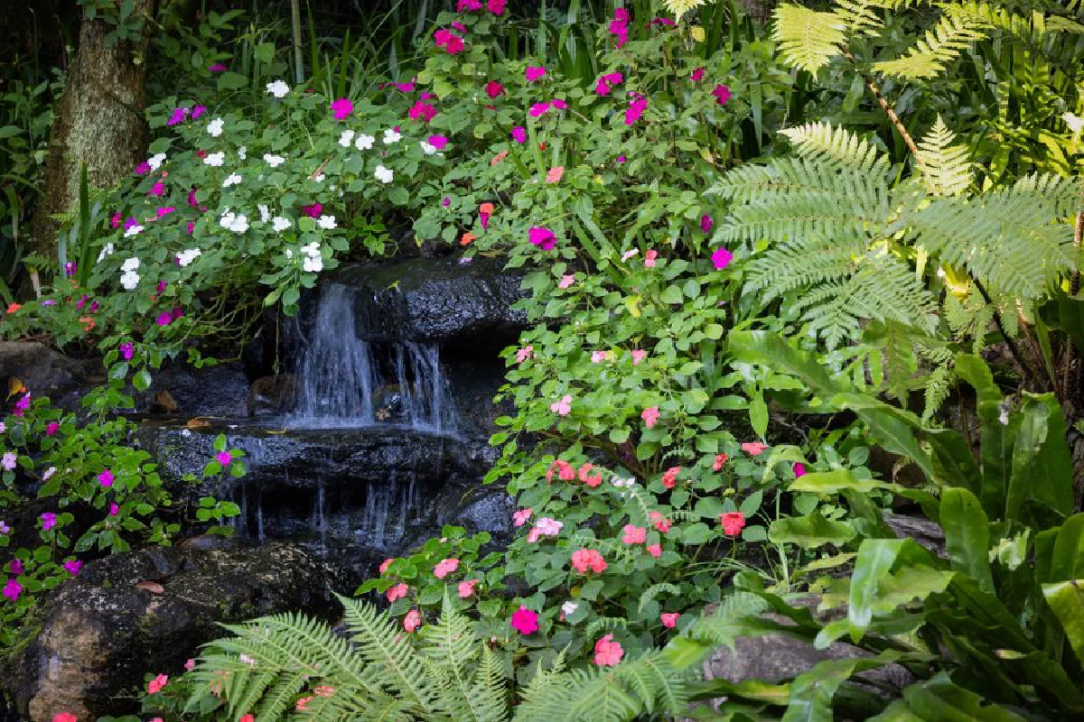 A serene garden scene featuring a waterfall surrounded by vibrant impatiens and lush ferns.