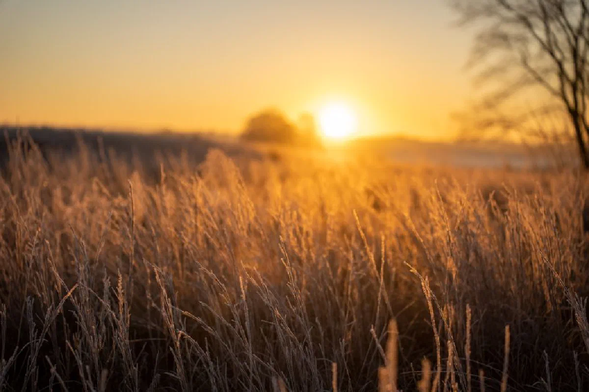 Serene sunset over a rural field in West Newton, Minnesota, USA.