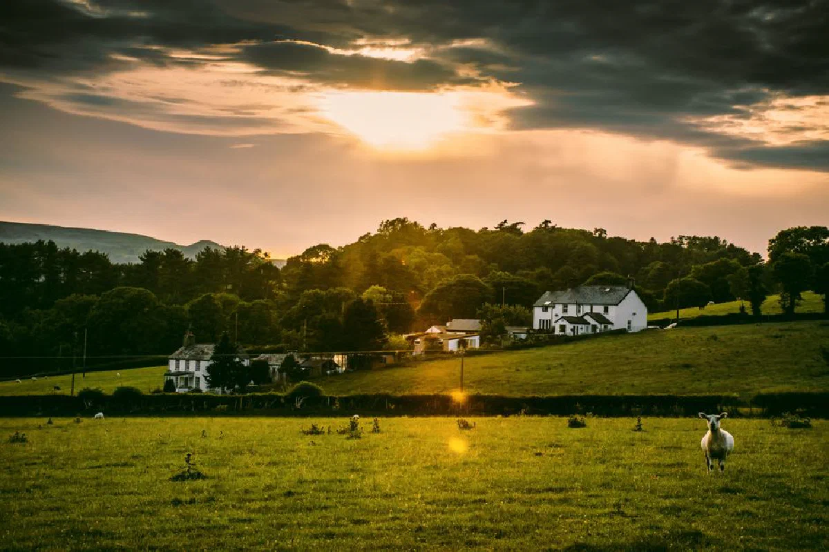 Scenic countryside with houses and sheep during a vibrant sunset.