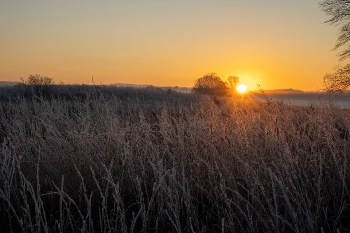 Serene sunrise over frosty rural field in West Newton, MN