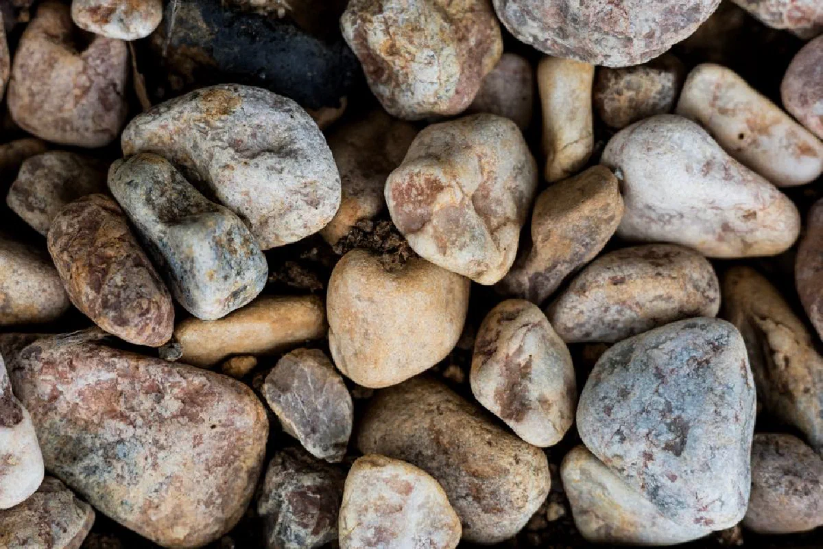 Detailed view of various pebbles and rocks, showcasing natural earthy textures.