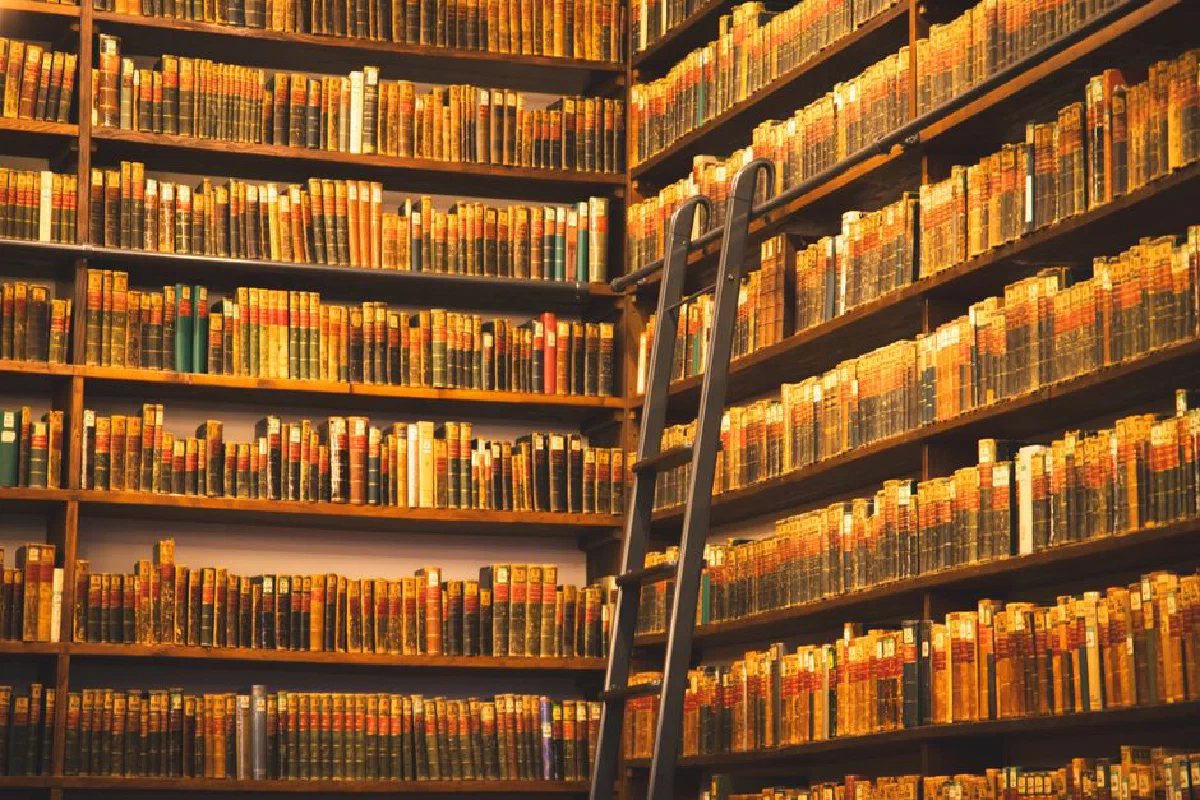 A cozy library corner with tall wooden bookshelves and a movable ladder.