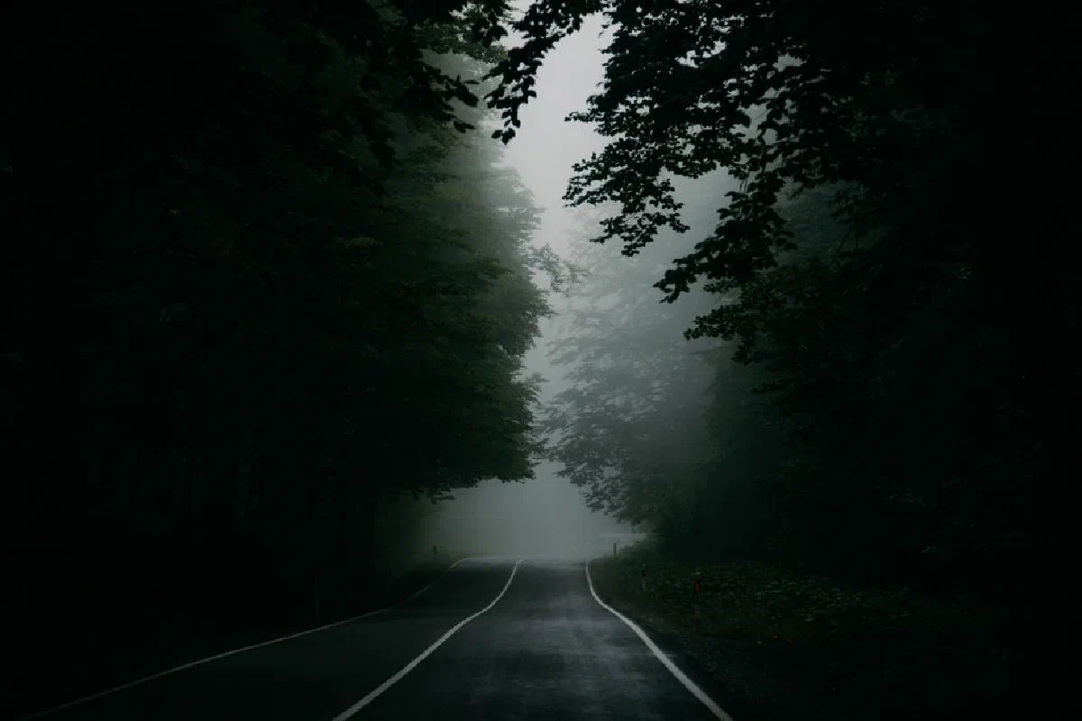 A misty road winds through an eerie, dense forest, evoking mystery and intrigue.