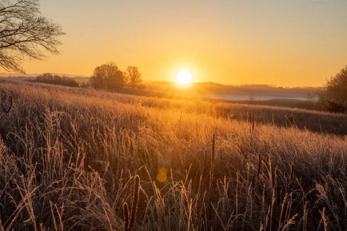 Beautiful sunrise over a frosty rural field in West Newton, MN, capturing tranquil countryside scenery.