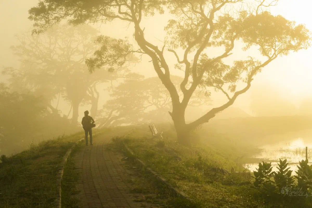 Silhouette of a person walking along a misty forest path with trees and a lake in the background.