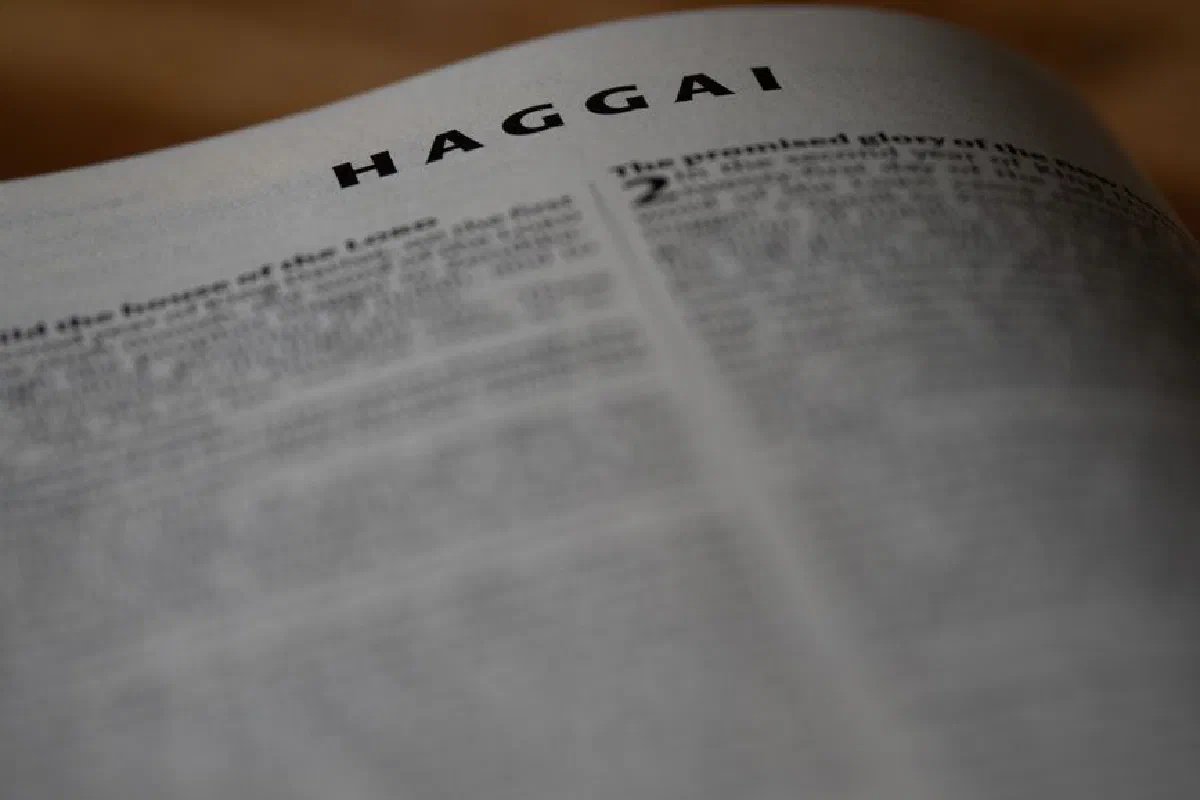 A close-up of the Book of Haggai showing text with selective focus.