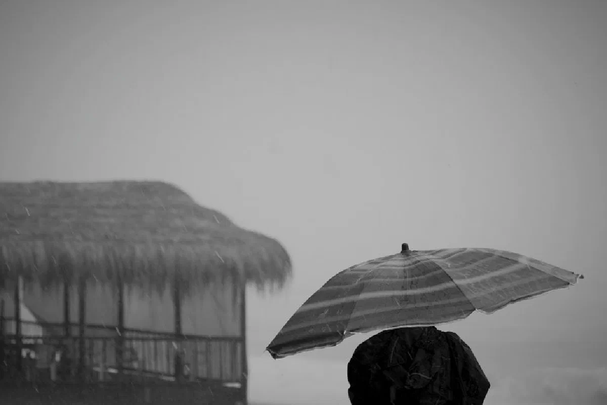 Black and white back view of anonymous person under umbrella standing near bungalow on rainy day