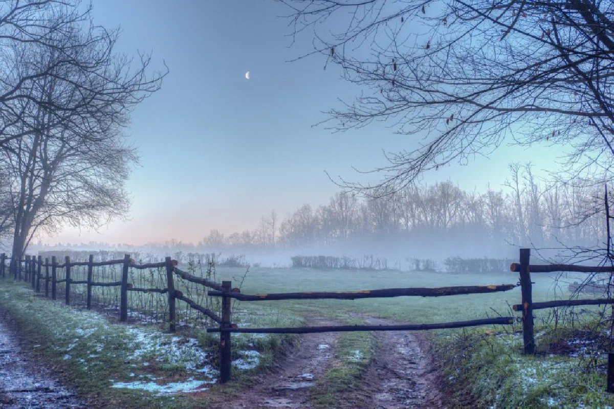 Idyllic frosty morning landscape with mist and a rustic wooden fence under the moonlight.