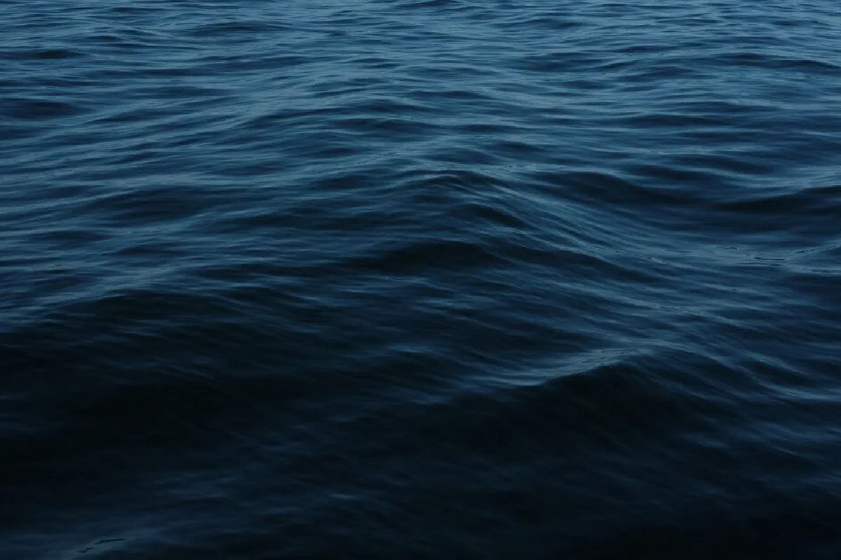 Why did God flood the earth?