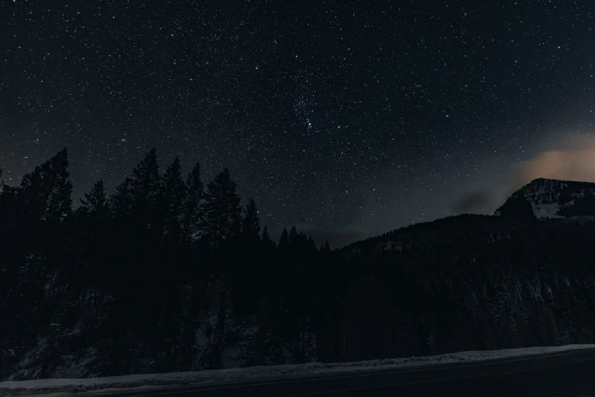 A stunning night sky filled with stars over a silhouette of pine trees and mountains.