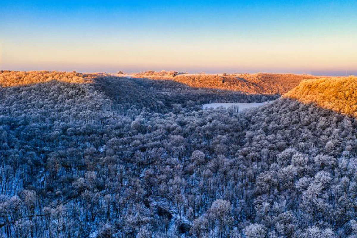 A breathtaking aerial view of a snow-laden forest at sunrise in Minnesota during winter.
