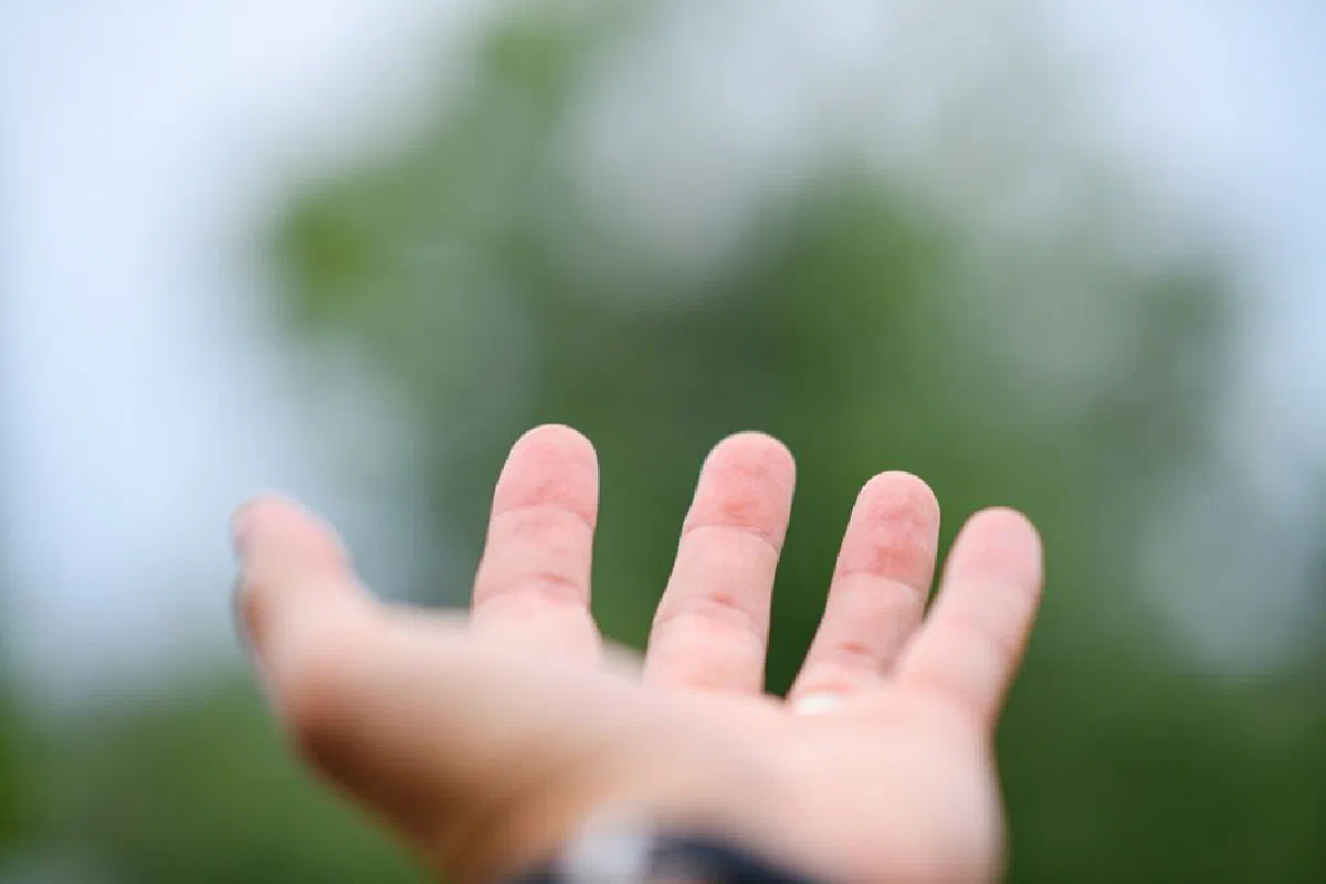Close-up of an outstretched hand against a soft-focused background of greenery, symbolizing connection.