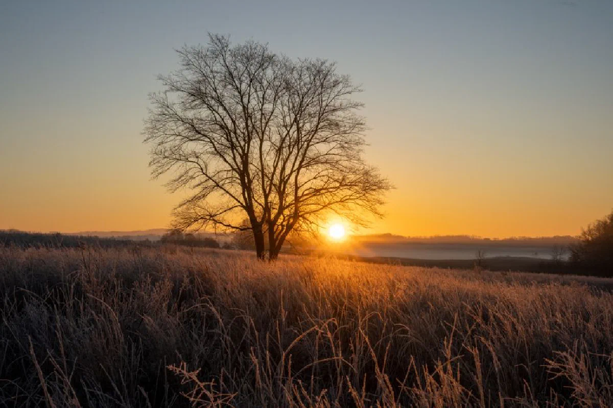 A tranquil sunrise over frosty grasslands in West Newton, Minnesota.