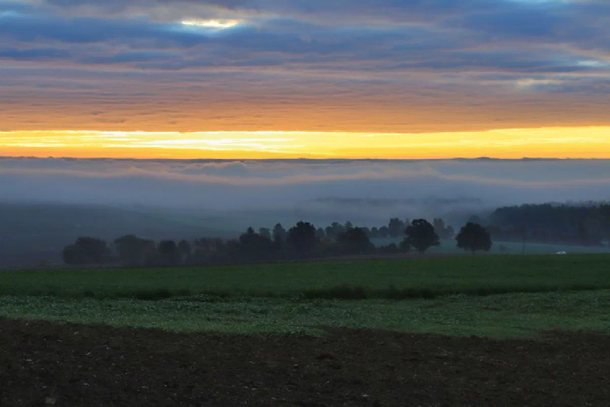 Scenic view of misty fields and trees at sunrise with a vibrant yellow sky.