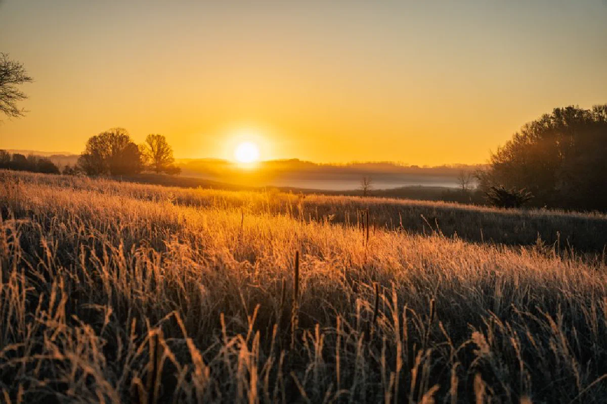 A peaceful sunset over grasslands in West Newton, Minnesota, USA.