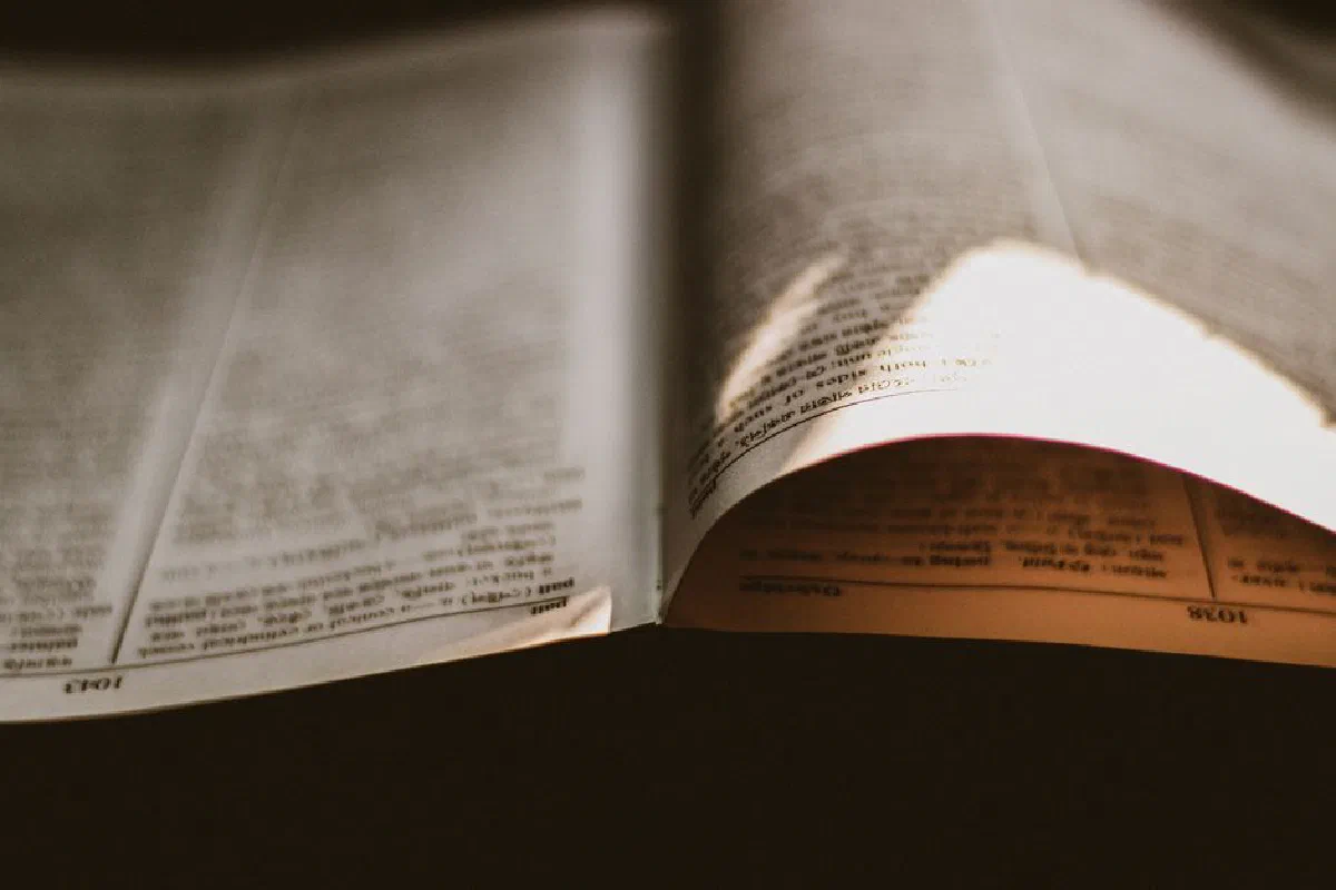 An artistic close-up of a vintage book's pages with dramatic lighting and shadows.