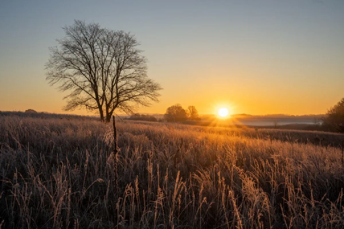 Sunset over a frosty field in West Newton, MN, capturing a serene winter rural landscape.