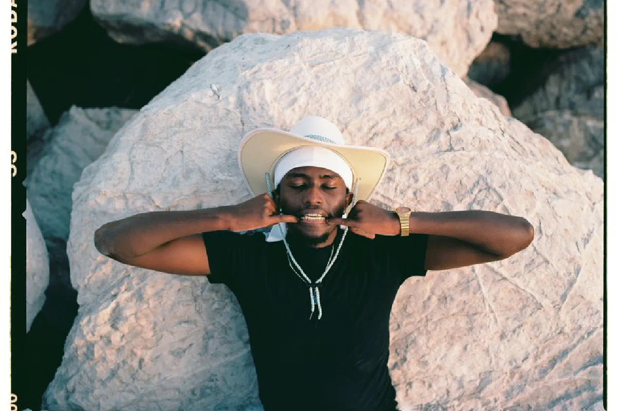 A man in a cowboy hat poses confidently on rocks during sunset.