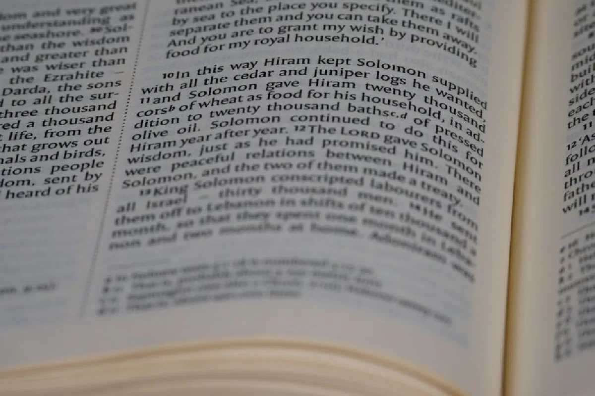 Focused close-up image of a Bible page highlighting a verse in detail.