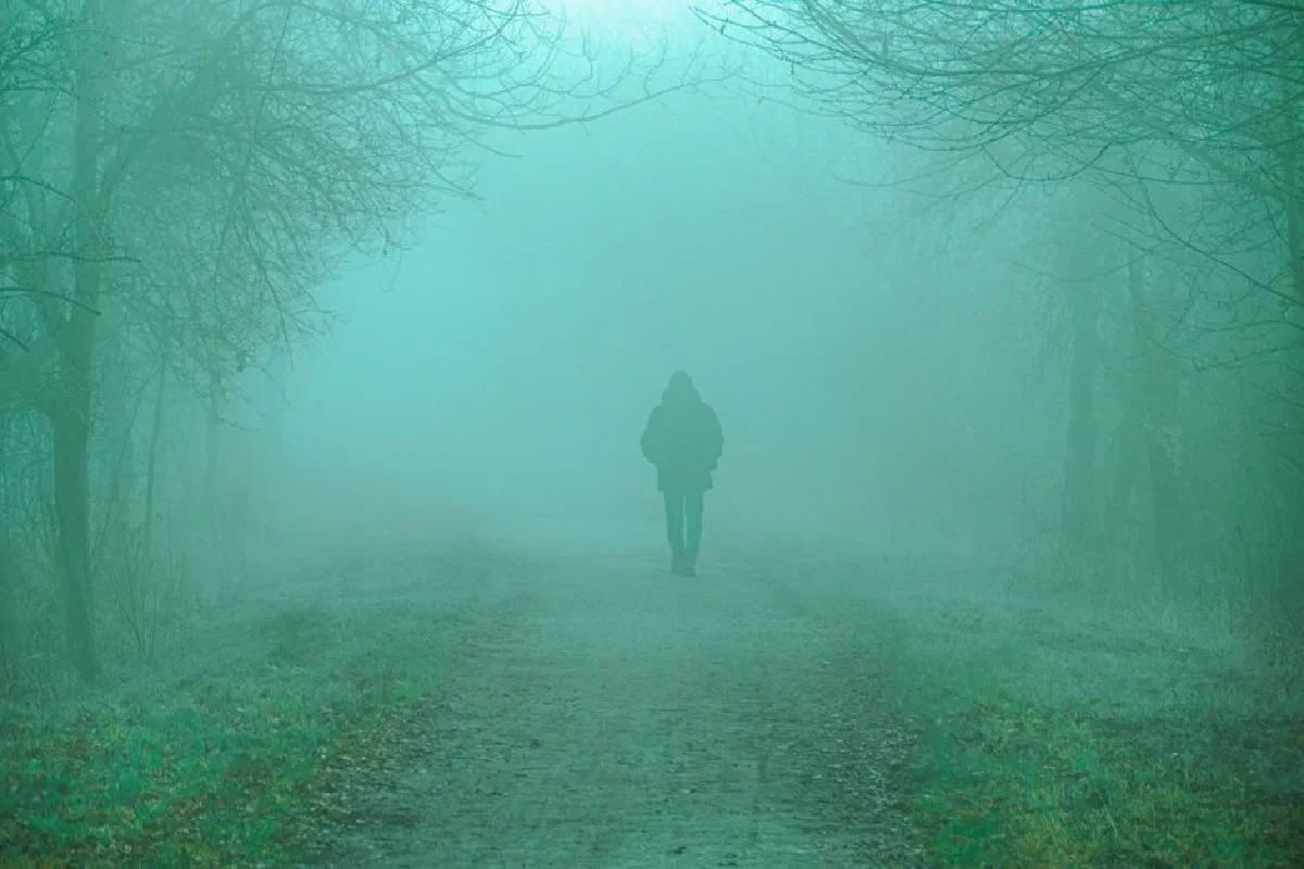 A lone person walking down a foggy path, surrounded by mist and trees.