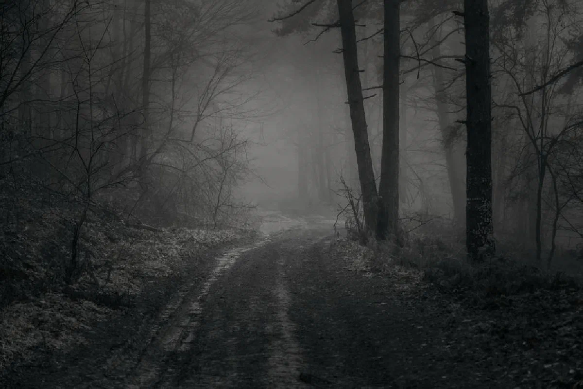 A mysterious foggy winter scene with a dirt road winding through a forest.