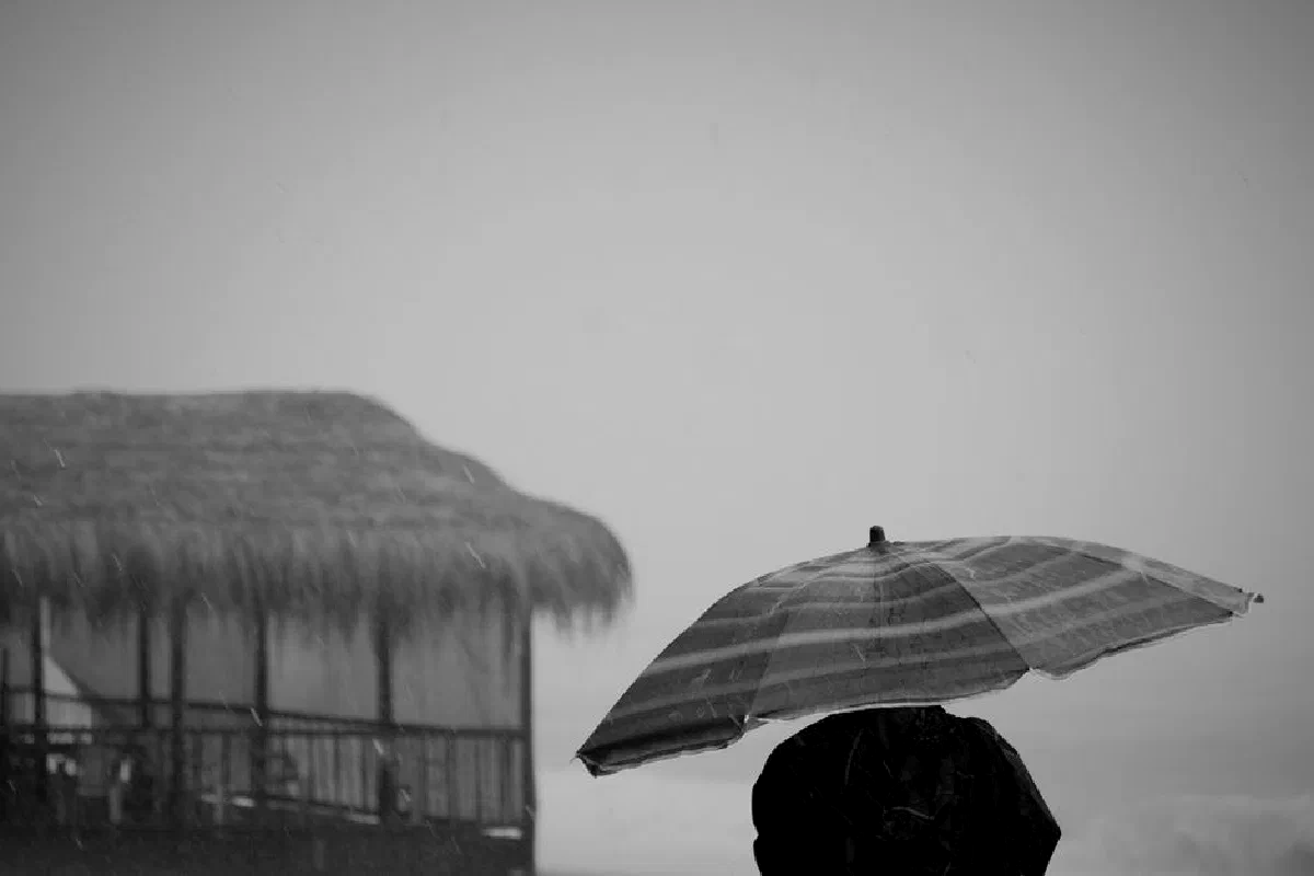 Black and white back view of anonymous person under umbrella standing near bungalow on rainy day