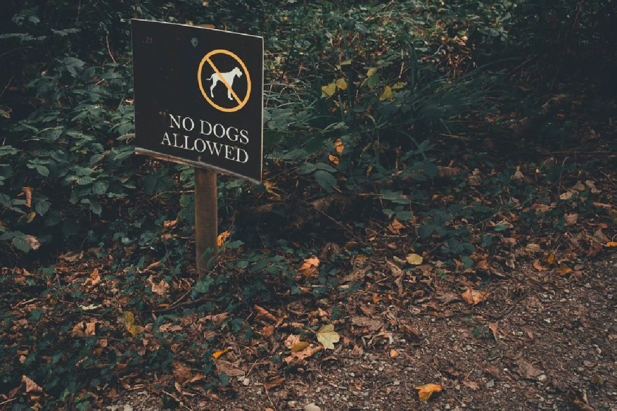 A forest pathway with a No Dogs Allowed sign, surrounded by lush greenery in County Cork, Ireland.