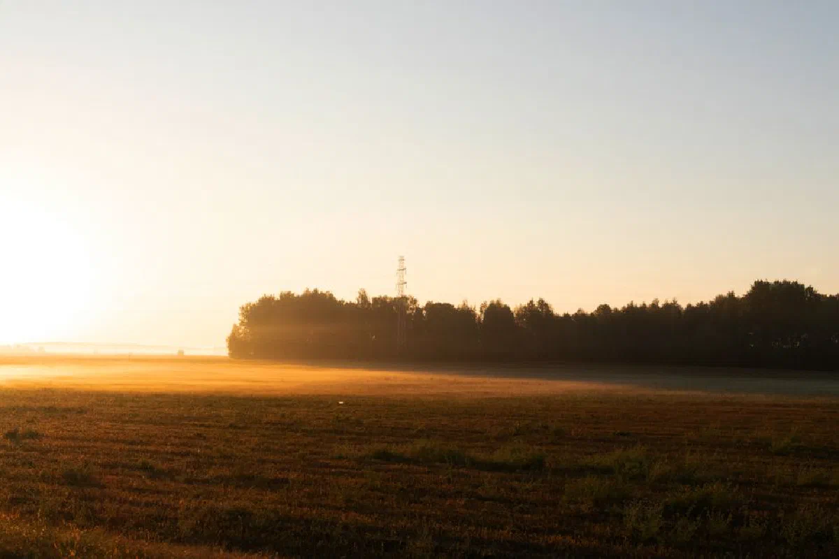 A tranquil sunrise scene with mist over a vast field and distant trees, evoking peace.