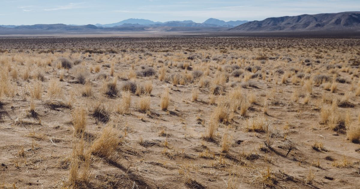 What is a wilderness experience?