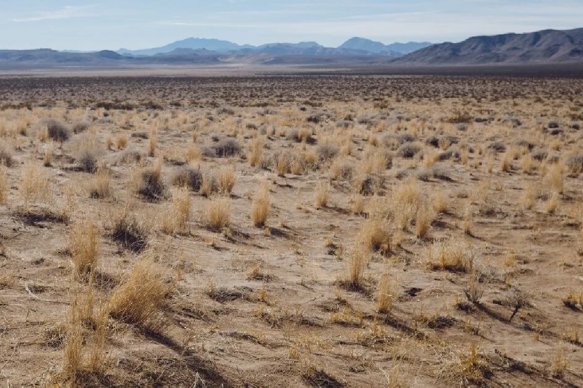 What is a wilderness experience?